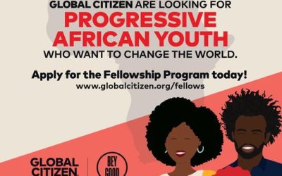 Global Citizen Fellowship Program powered by BeyGOOD